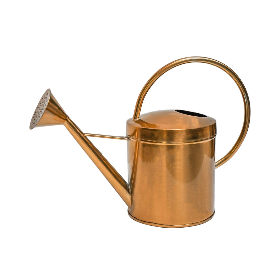  Ivyline Kensington Traditional Watering Can IKTCWC25 The Green Thumb Club