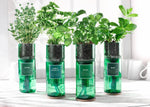  Hydro Herb Hydro Herb Basil-Hydro-Herb-kit, Thyme-Hydro-Herb-kit, Flat-Parsley-Hydro-Herb-kit, Curly-Parsley-Hydro-Herb-kit, Mint-Hydro-Herb-kit, Oregano-Hydro-Herb-kit, Tarragon-Hydro-Herb-kit, Coriander-Hydro-Herb-kit, Dil-Hydro-Herb-kit, Rosemary-Hydro-Herb-kit The Green Thumb Club