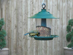  Garland Lantern Bird Seed & Nut Feeder is W2070, W2074, W2075 The Green Thumb Club