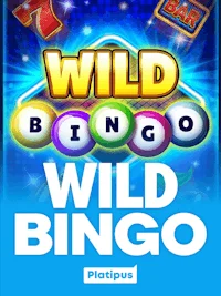 Wild Bingo casino game